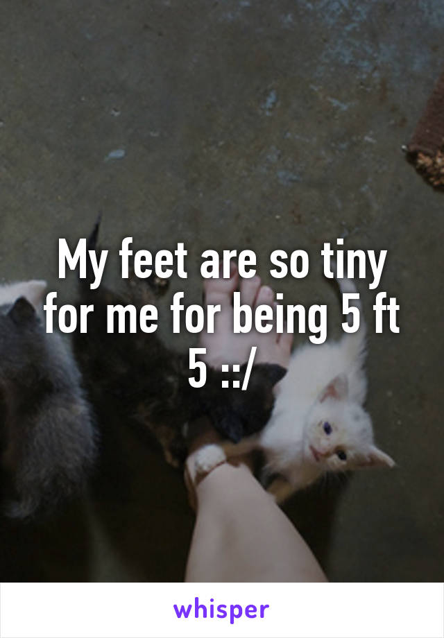 My feet are so tiny for me for being 5 ft 5 ::/