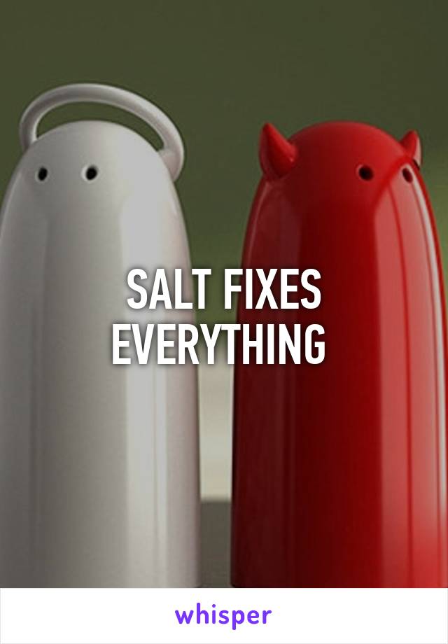 SALT FIXES EVERYTHING 