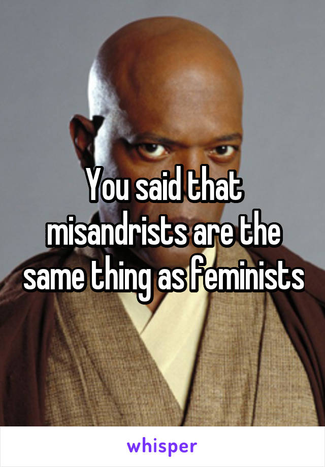 You said that misandrists are the same thing as feminists