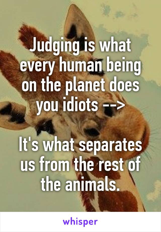 Judging is what every human being on the planet does you idiots -->

It's what separates us from the rest of the animals.
