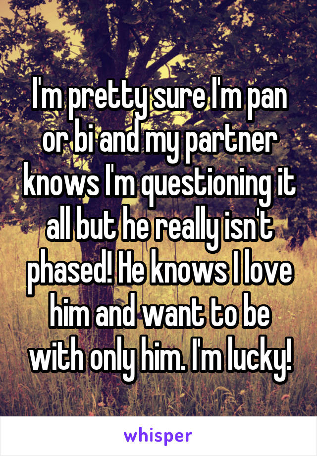 I'm pretty sure I'm pan or bi and my partner knows I'm questioning it all but he really isn't phased! He knows I love him and want to be with only him. I'm lucky!