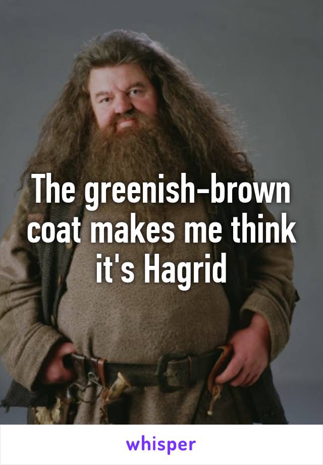 The greenish-brown coat makes me think it's Hagrid