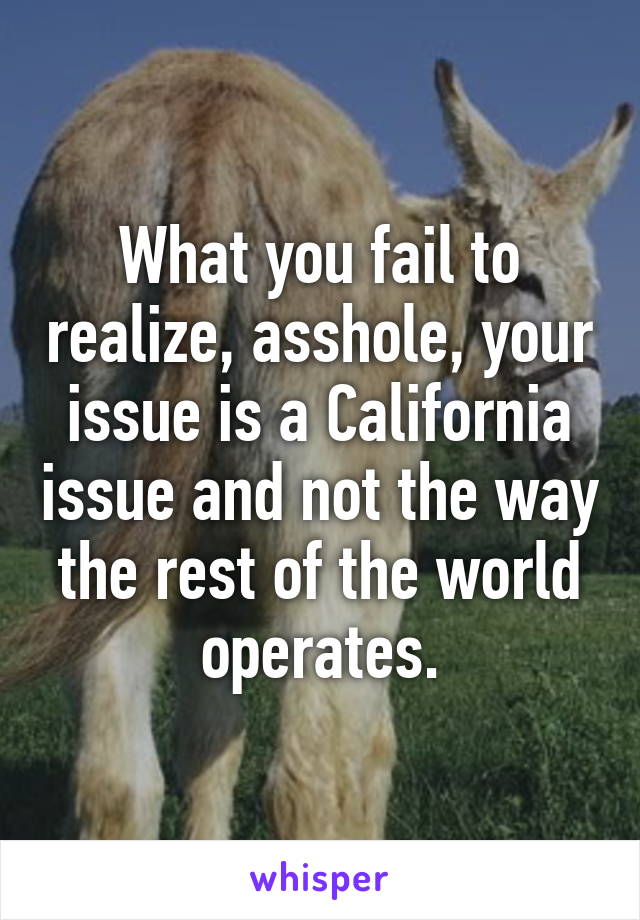 What you fail to realize, asshole, your issue is a California issue and not the way the rest of the world operates.