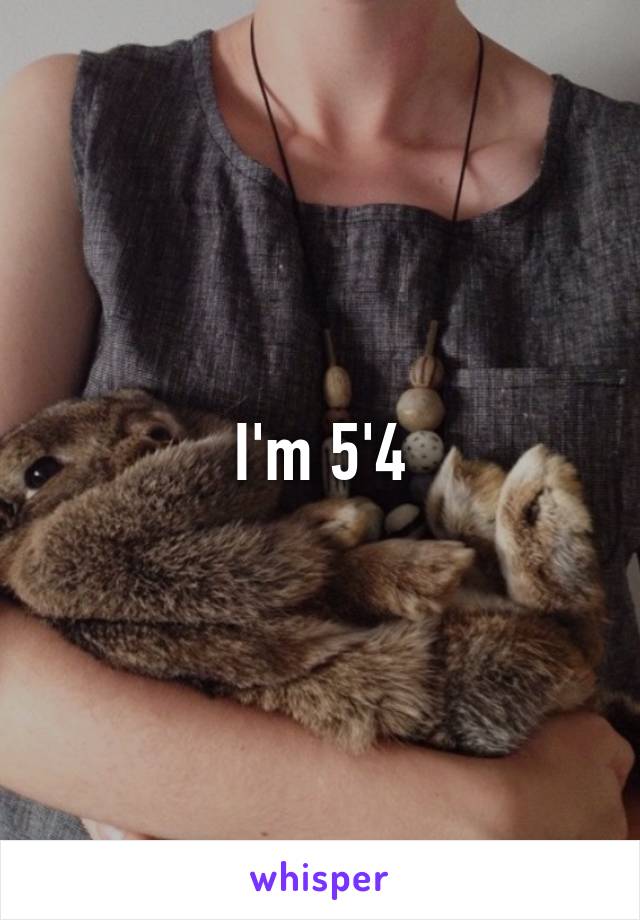 I'm 5'4