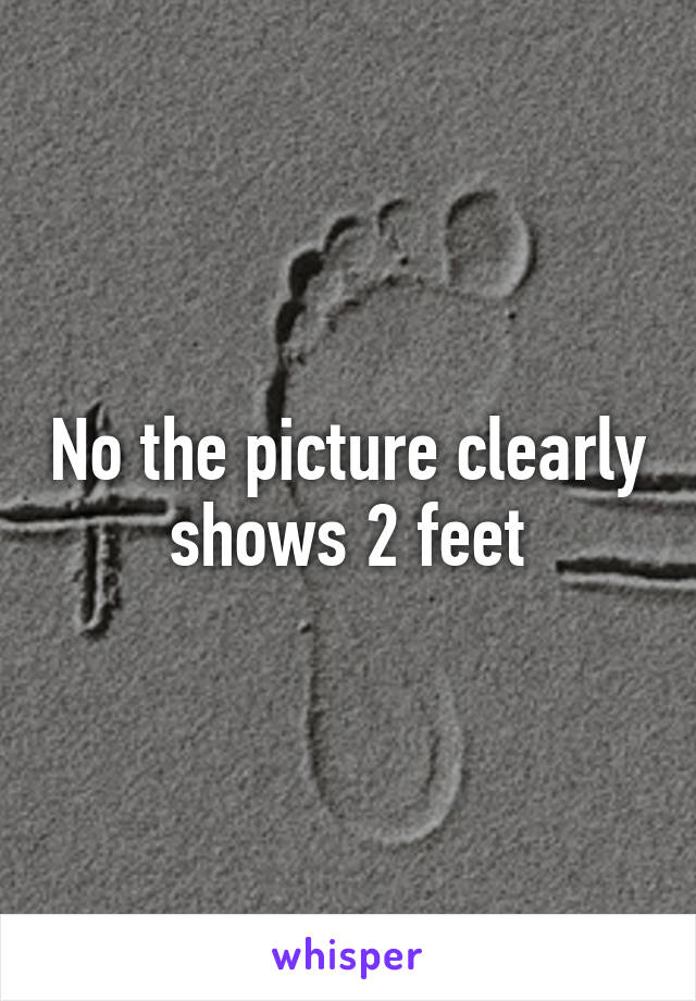 No the picture clearly shows 2 feet