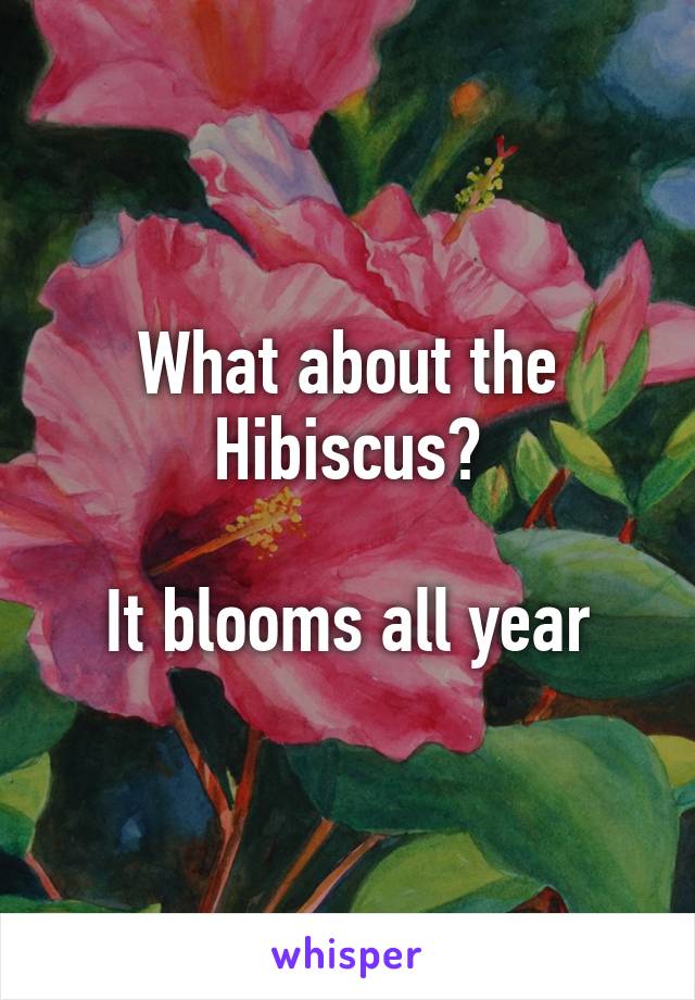What about the Hibiscus?

It blooms all year