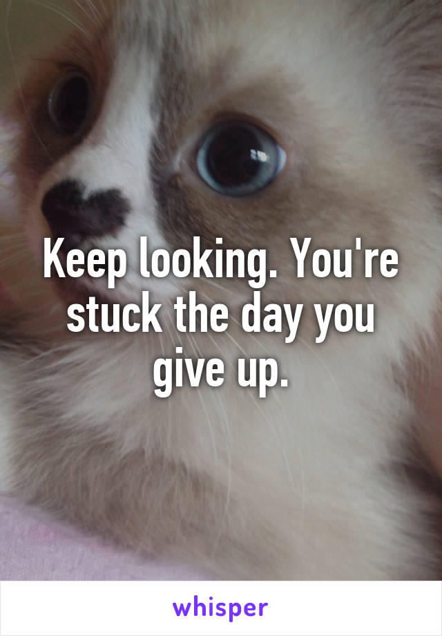 Keep looking. You're stuck the day you give up.
