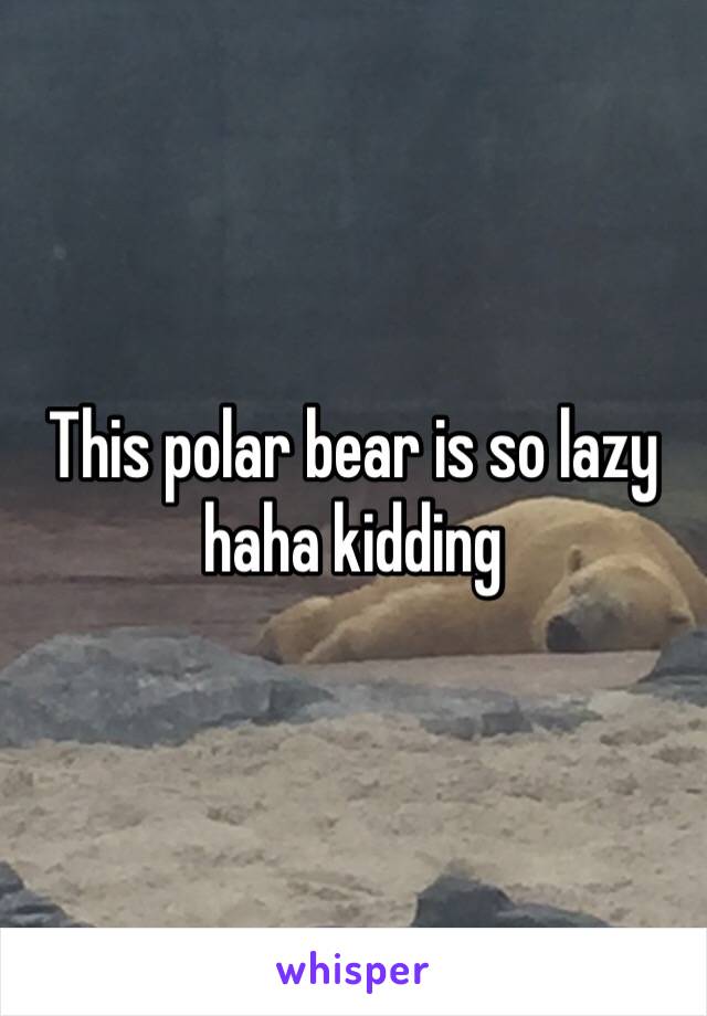 This polar bear is so lazy haha kidding