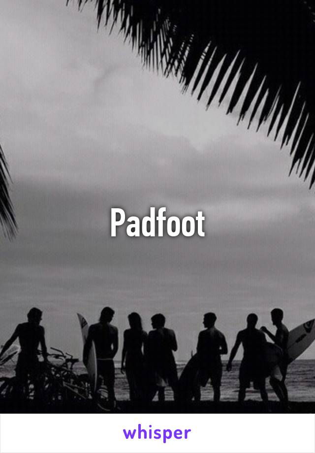 Padfoot