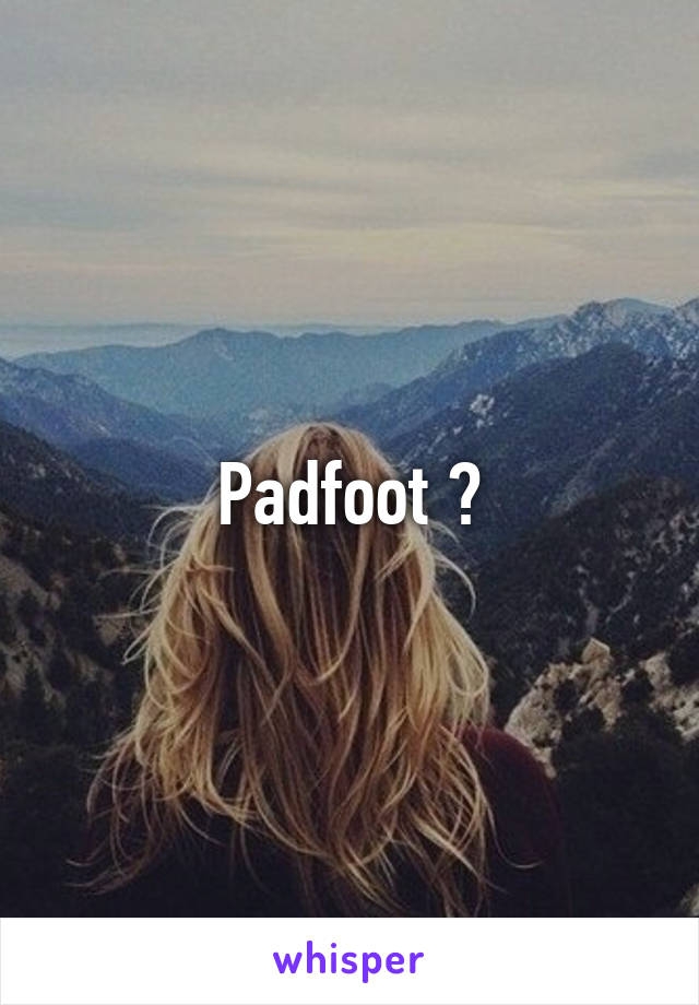 Padfoot ?
