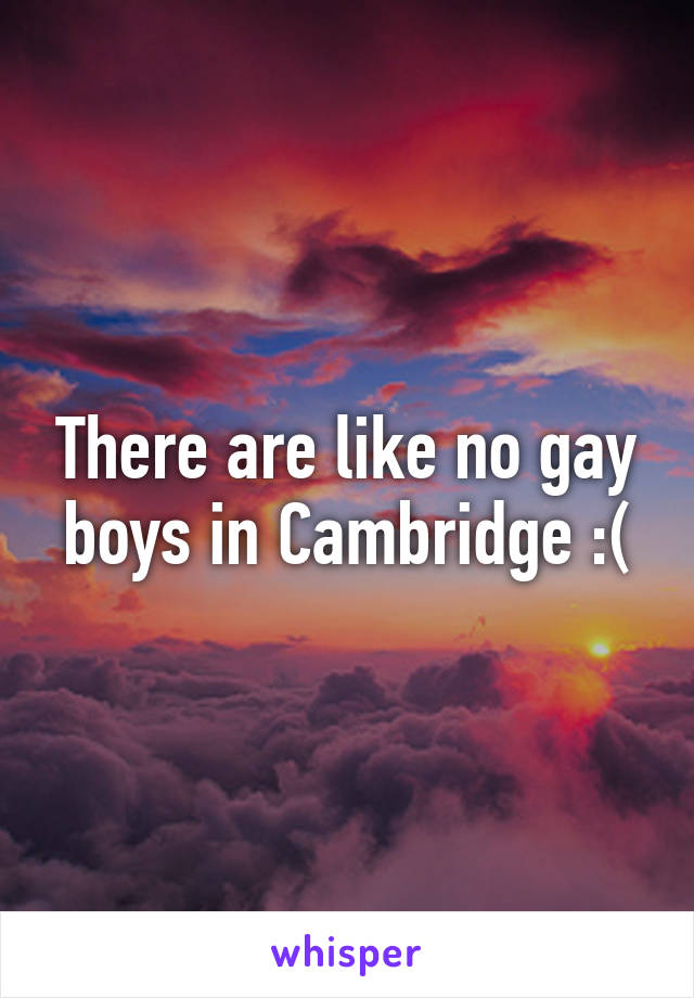 There are like no gay boys in Cambridge :(