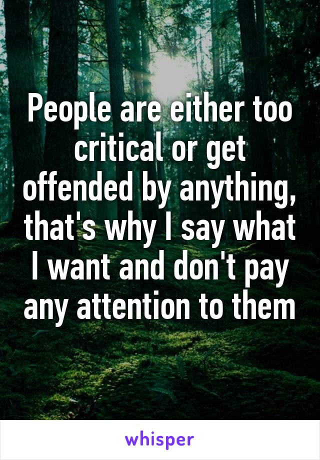 People are either too critical or get offended by anything, that's why I say what I want and don't pay any attention to them 