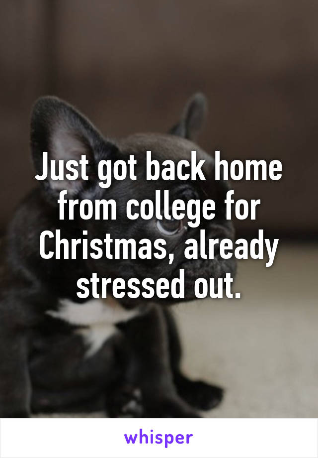Just got back home from college for Christmas, already stressed out.
