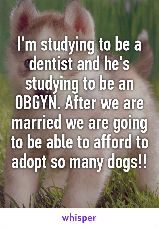 I'm studying to be a dentist and he's studying to be an OBGYN. After we are married we are going to be able to afford to adopt so many dogs!! 