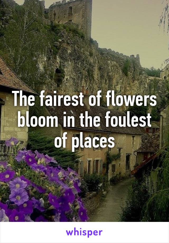 The fairest of flowers bloom in the foulest of places
