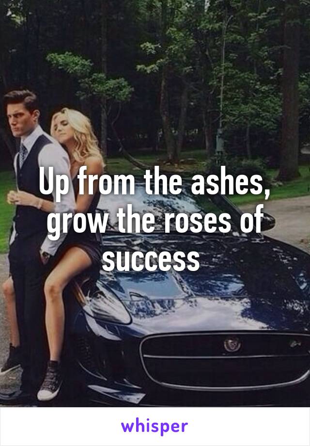 Up from the ashes, grow the roses of success 