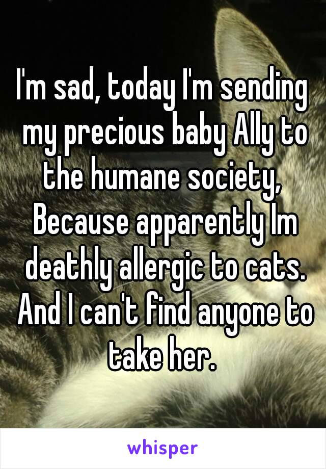 I'm sad, today I'm sending my precious baby Ally to the humane society,  Because apparently Im deathly allergic to cats. And I can't find anyone to take her. 