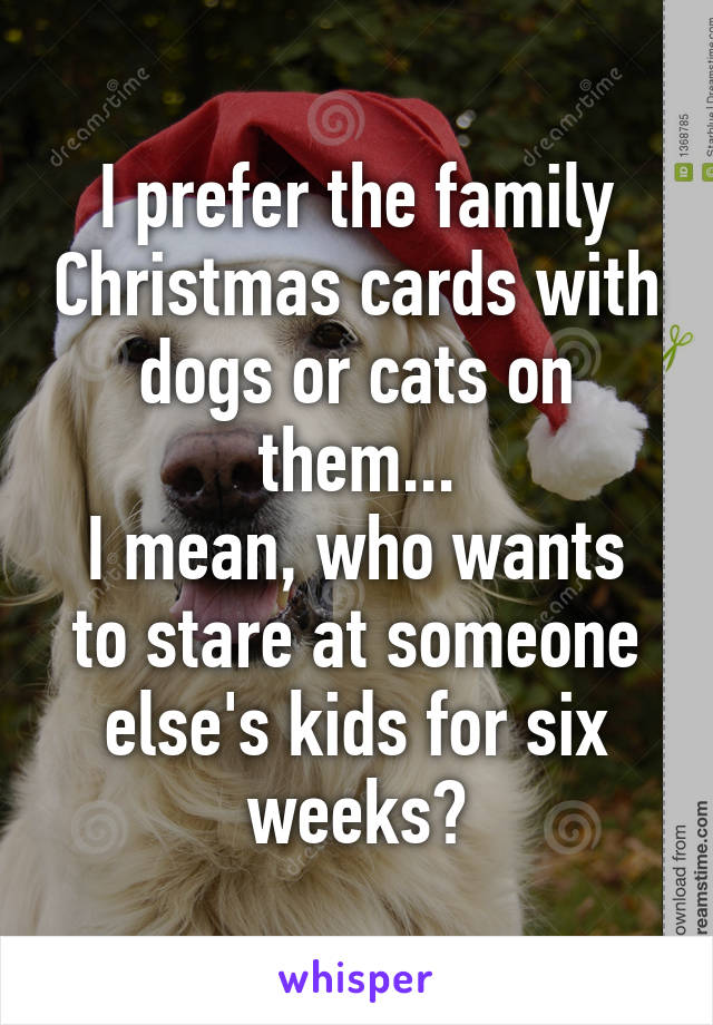 I prefer the family Christmas cards with dogs or cats on them...
I mean, who wants to stare at someone else's kids for six weeks?