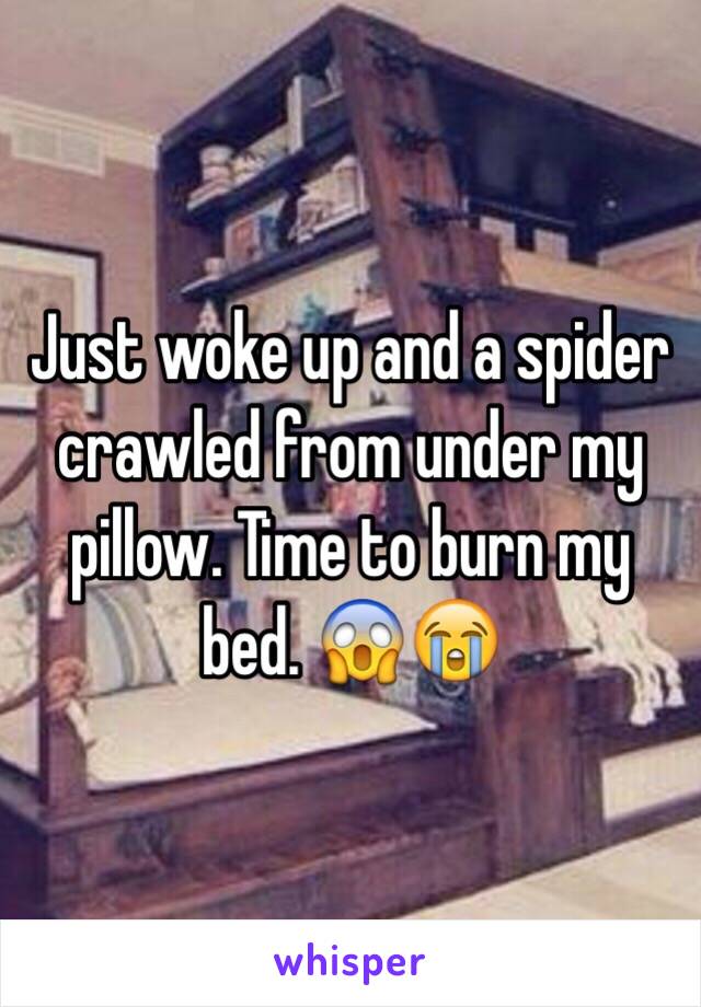 Just woke up and a spider crawled from under my pillow. Time to burn my bed. 😱😭