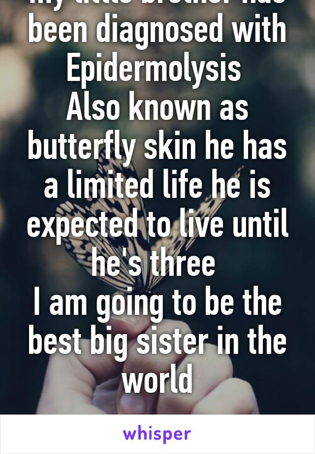 my little brother has been diagnosed with Epidermolysis 
Also known as butterfly skin he has a limited life he is expected to live until he's three 
I am going to be the best big sister in the world

