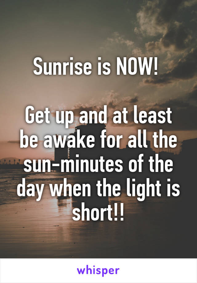 Sunrise is NOW! 

Get up and at least be awake for all the sun-minutes of the day when the light is short!!