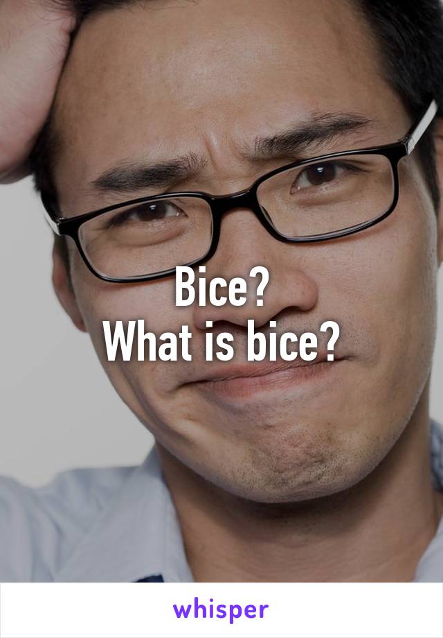 Bice?
What is bice?