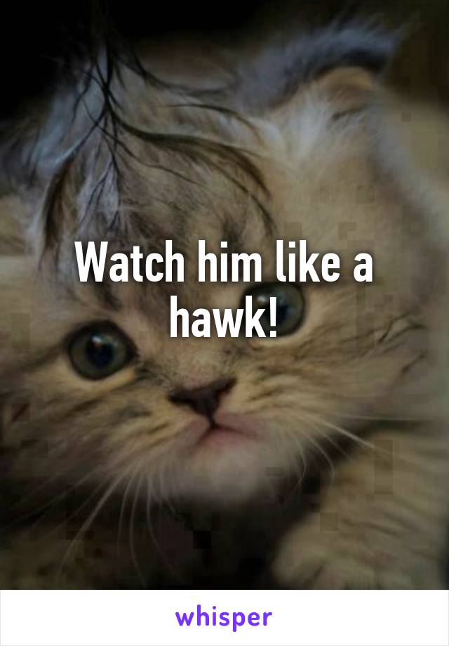 Watch him like a hawk!
