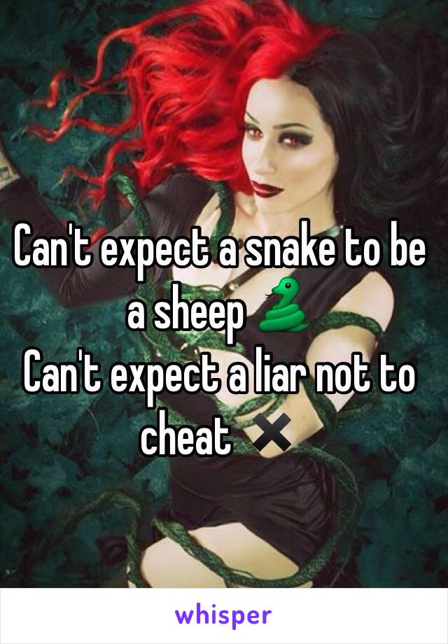 Can't expect a snake to be a sheep 🐍
Can't expect a liar not to cheat ✖️