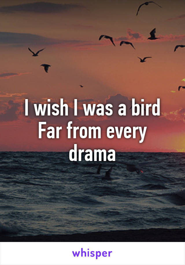 I wish I was a bird
Far from every drama