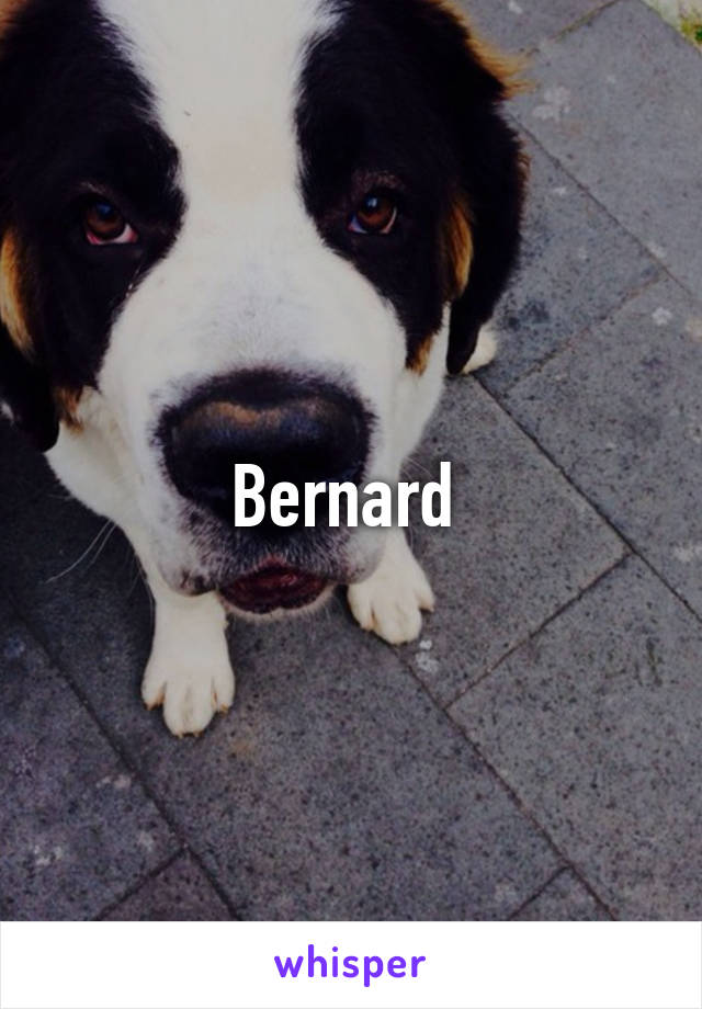 Bernard 