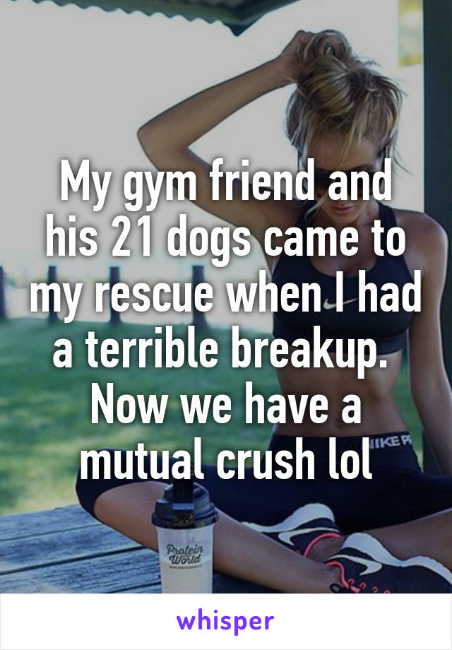 My gym friend and his 21 dogs came to my rescue when I had a terrible breakup. 
Now we have a mutual crush lol