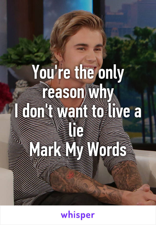 You're the only reason why
I don't want to live a lie 
Mark My Words