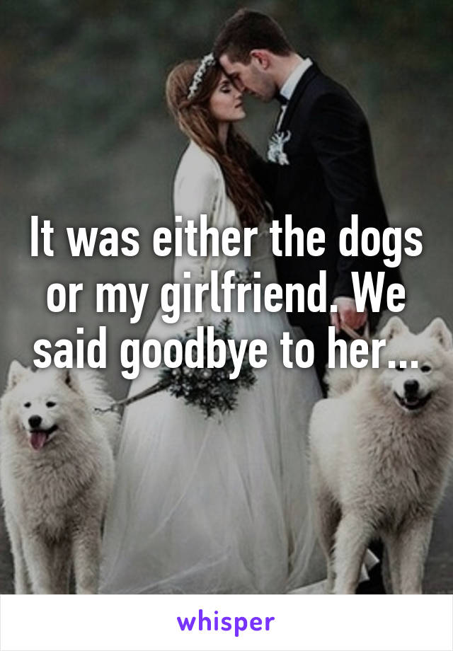 It was either the dogs or my girlfriend. We said goodbye to her... 
