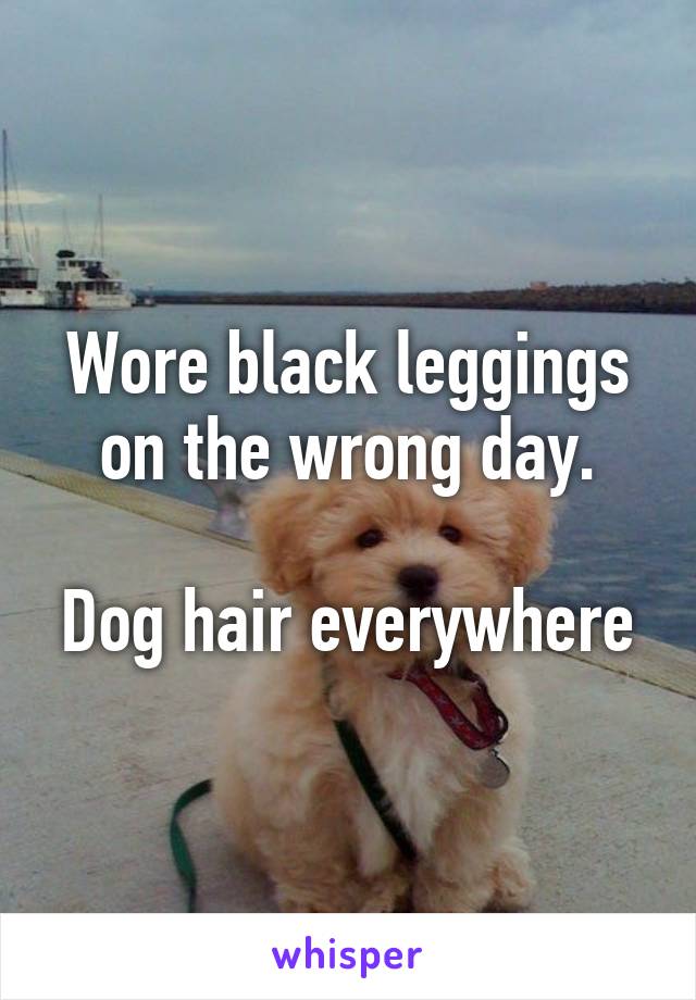 Wore black leggings on the wrong day.

Dog hair everywhere