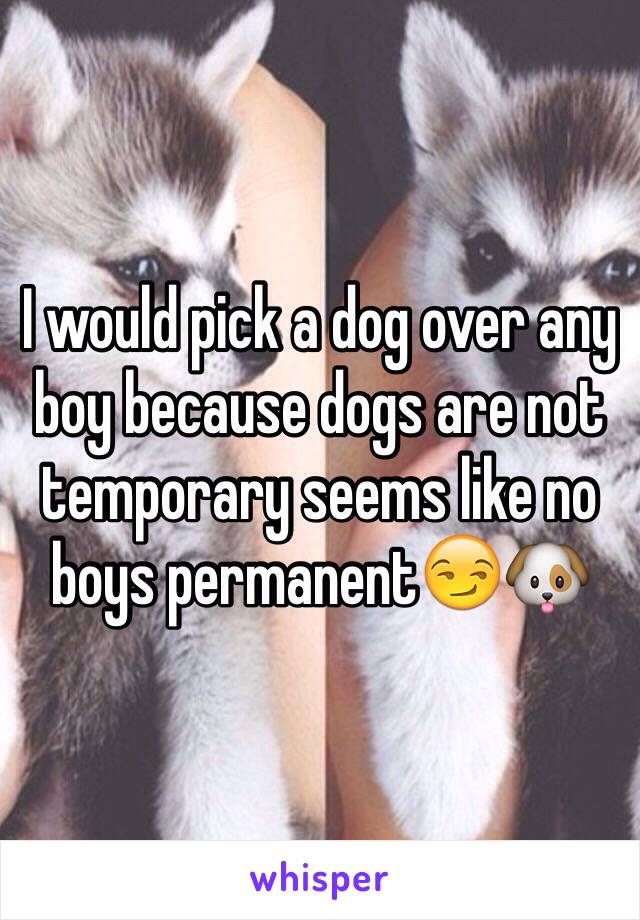 I would pick a dog over any boy because dogs are not temporary seems like no boys permanent😏🐶  