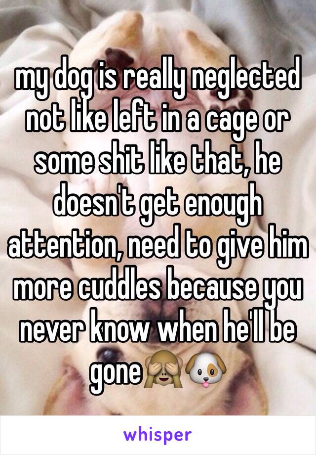 my dog is really neglected not like left in a cage or some shit like that, he doesn't get enough attention, need to give him more cuddles because you never know when he'll be gone🙈🐶