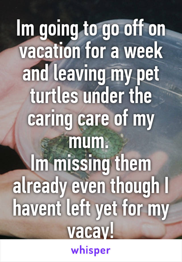 Im going to go off on vacation for a week and leaving my pet turtles under the caring care of my mum. 
Im missing them already even though I havent left yet for my vacay!