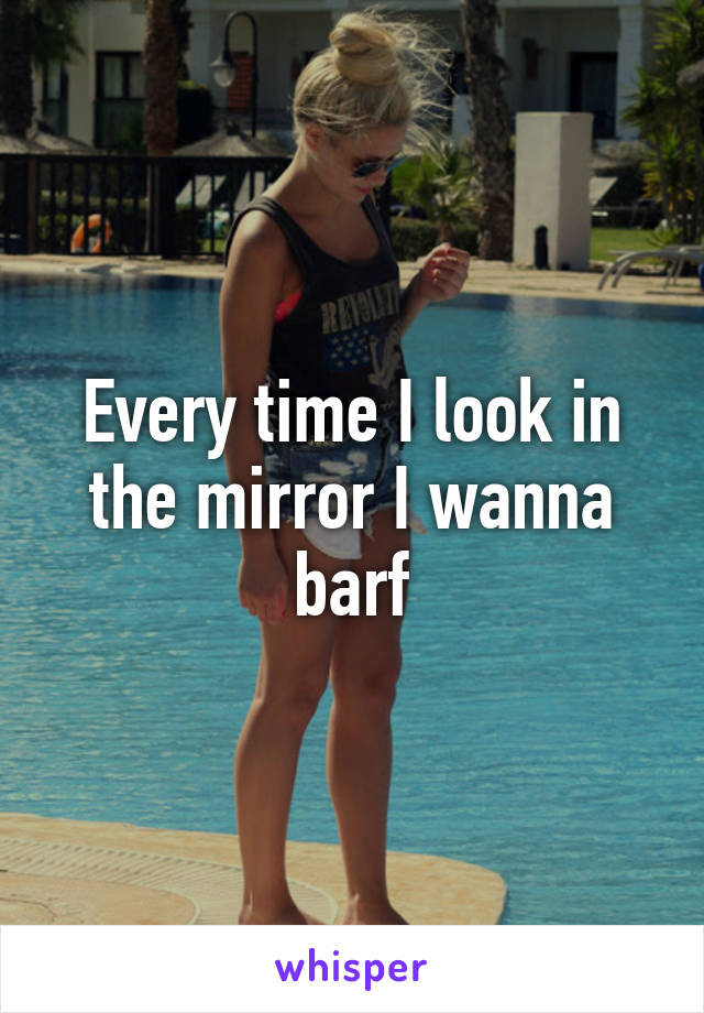 Every time I look in the mirror I wanna barf