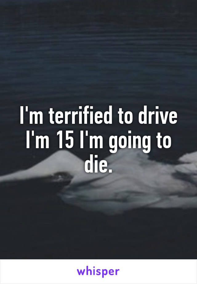 I'm terrified to drive I'm 15 I'm going to die.