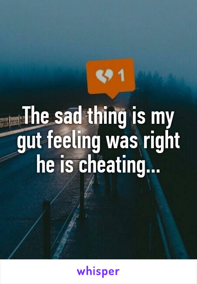 The sad thing is my gut feeling was right he is cheating...