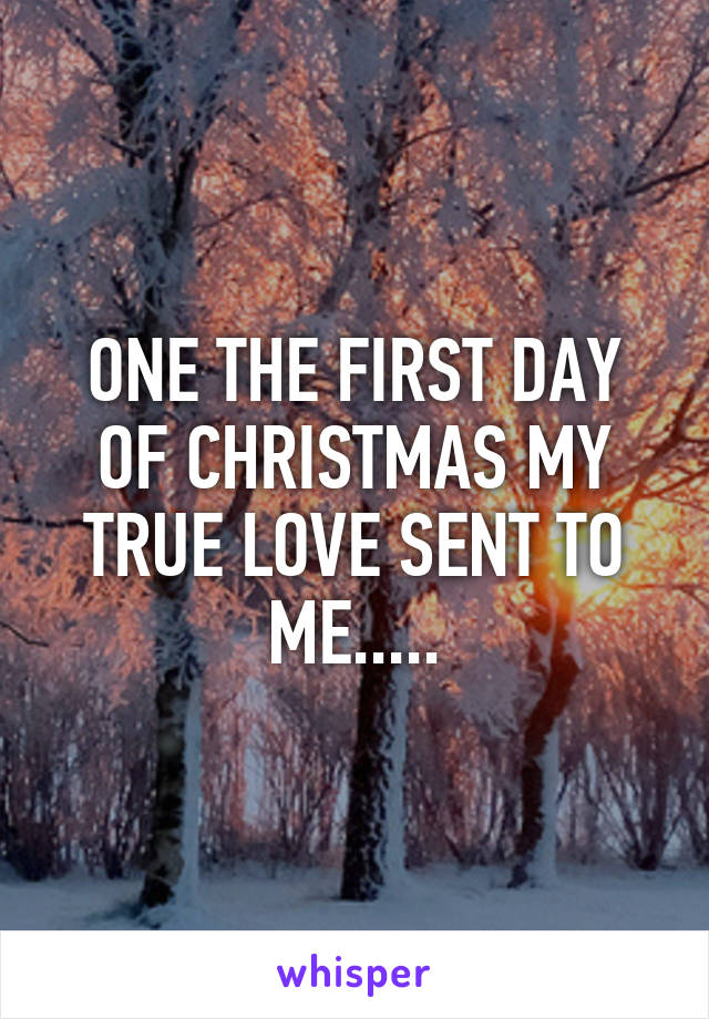 ONE THE FIRST DAY OF CHRISTMAS MY TRUE LOVE SENT TO ME.....