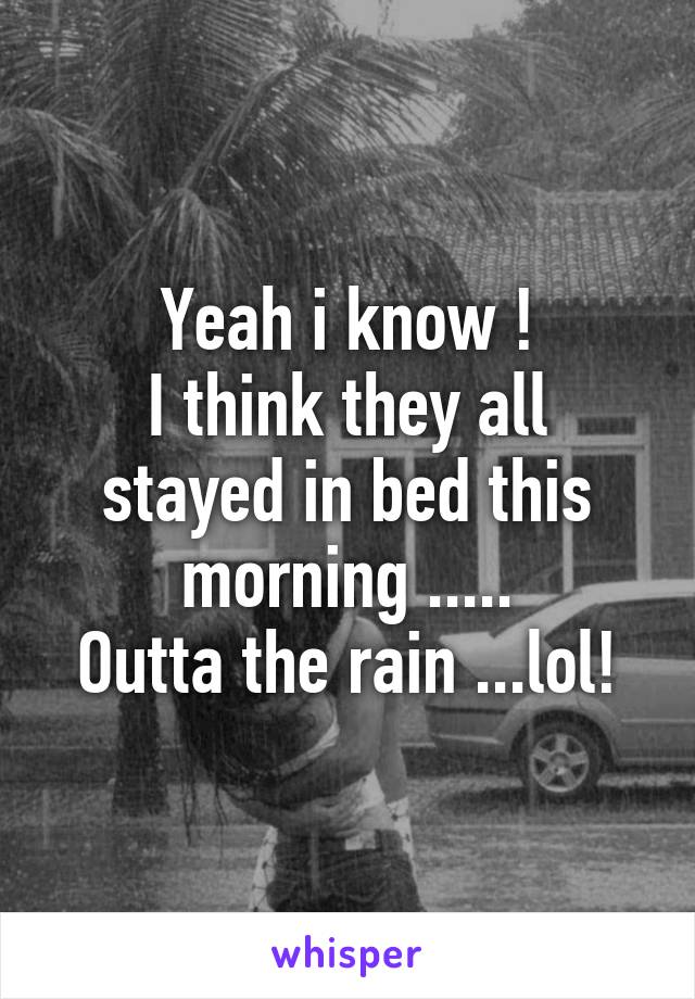 Yeah i know !
I think they all stayed in bed this morning .....
Outta the rain ...lol!