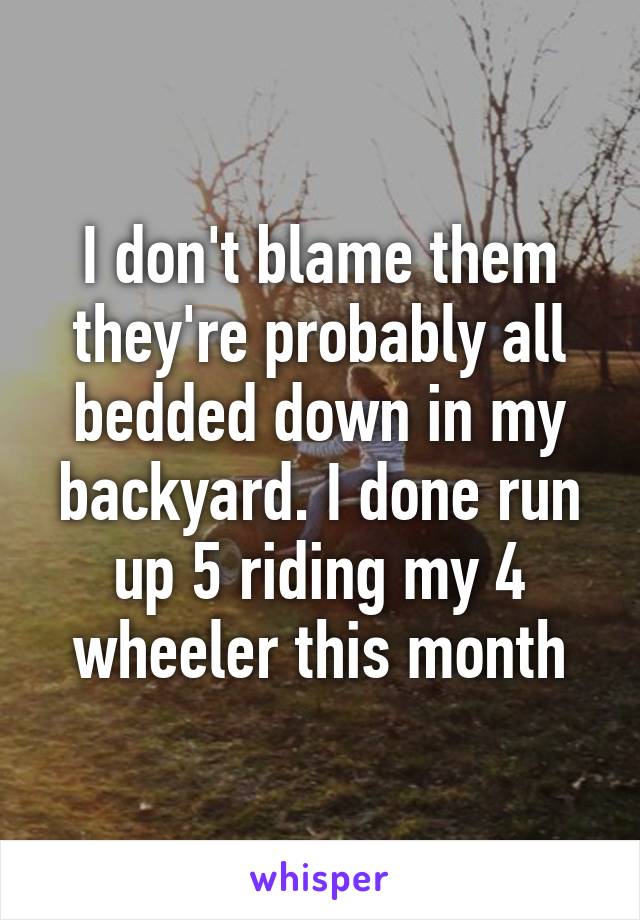 I don't blame them they're probably all bedded down in my backyard. I done run up 5 riding my 4 wheeler this month