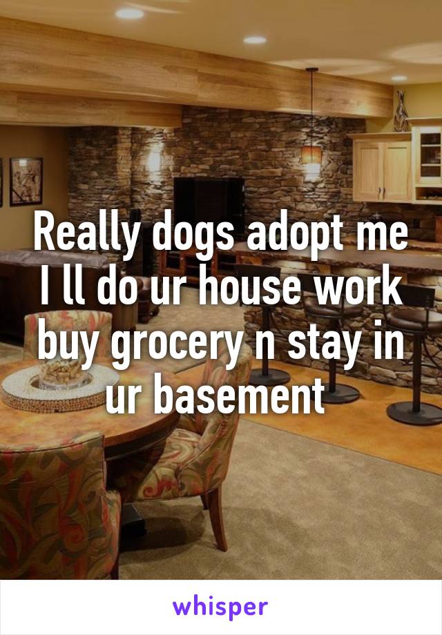 Really dogs adopt me I ll do ur house work buy grocery n stay in ur basement 