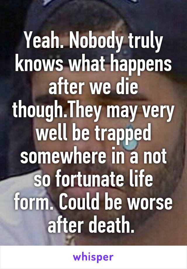 Yeah. Nobody truly knows what happens after we die though.They may very well be trapped somewhere in a not so fortunate life form. Could be worse after death. 
