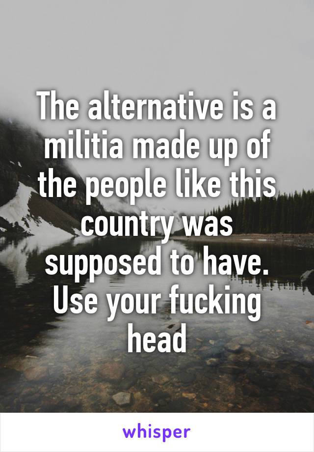 The alternative is a militia made up of the people like this country was supposed to have. Use your fucking head