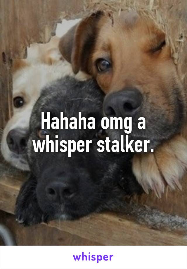 Hahaha omg a whisper stalker.