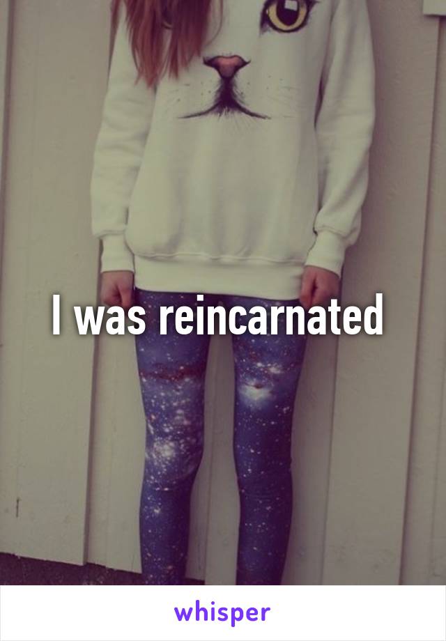 I was reincarnated 