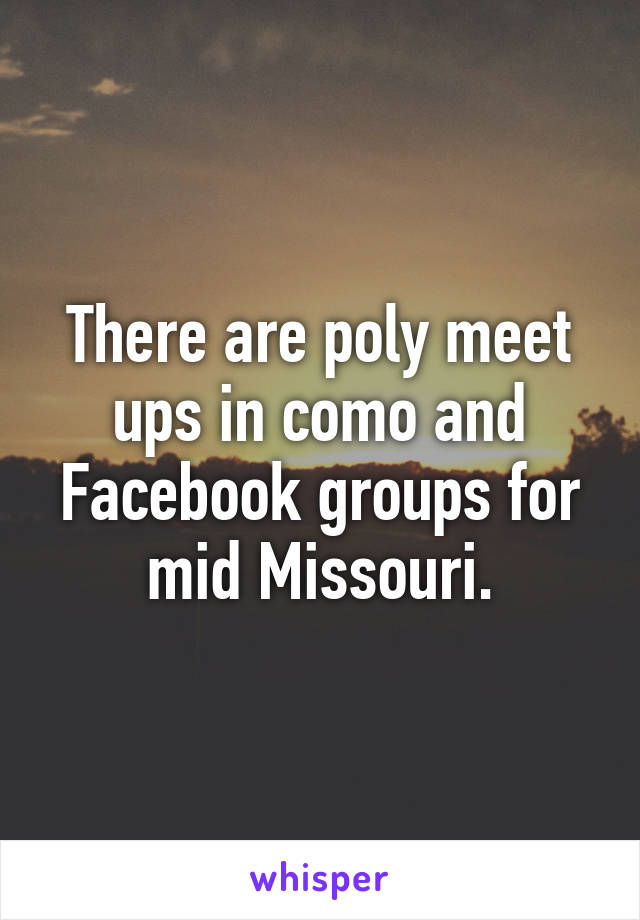 There are poly meet ups in como and Facebook groups for mid Missouri.