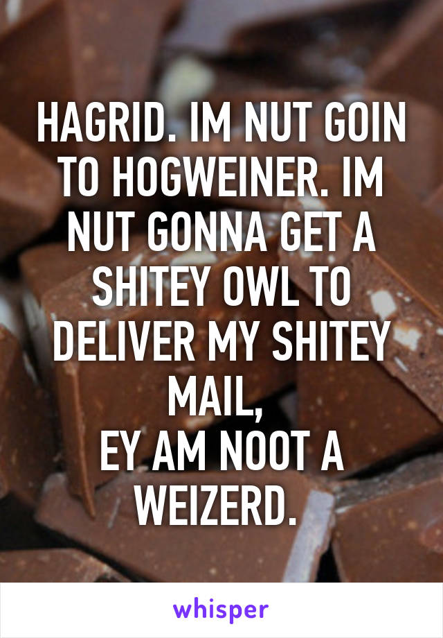 HAGRID. IM NUT GOIN TO HOGWEINER. IM NUT GONNA GET A SHITEY OWL TO DELIVER MY SHITEY MAIL, 
EY AM NOOT A WEIZERD. 